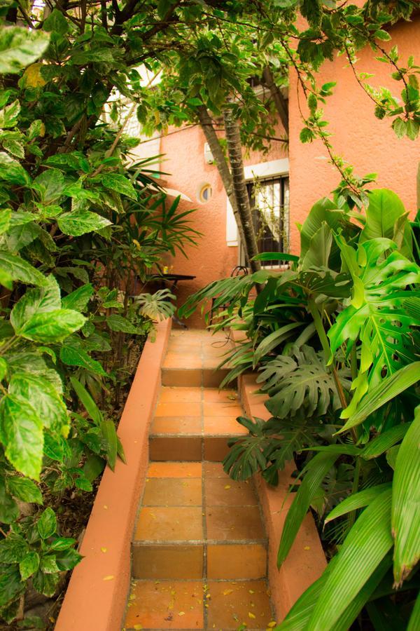 ميديلين Raiz Hostel المظهر الخارجي الصورة