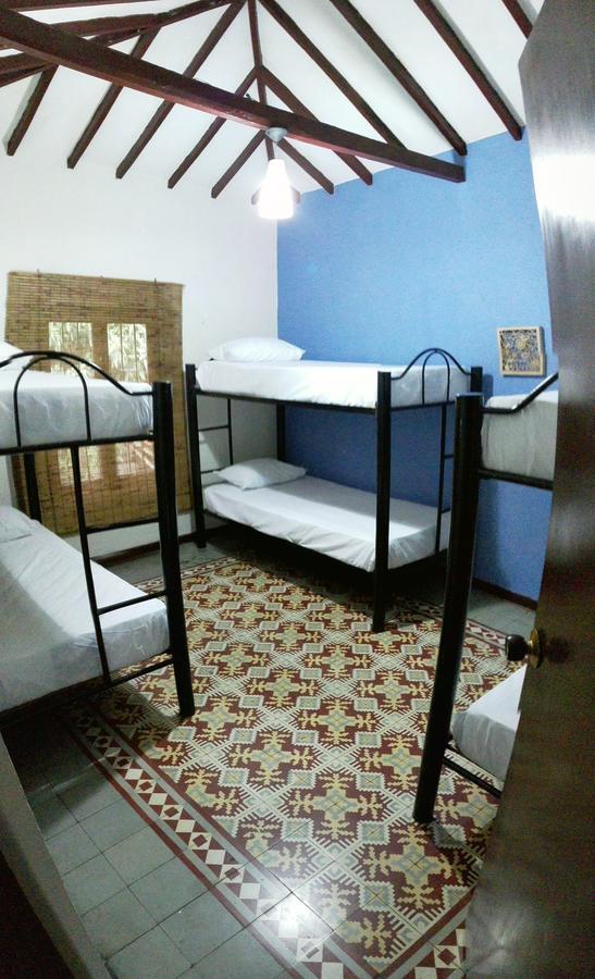 ميديلين Raiz Hostel المظهر الخارجي الصورة