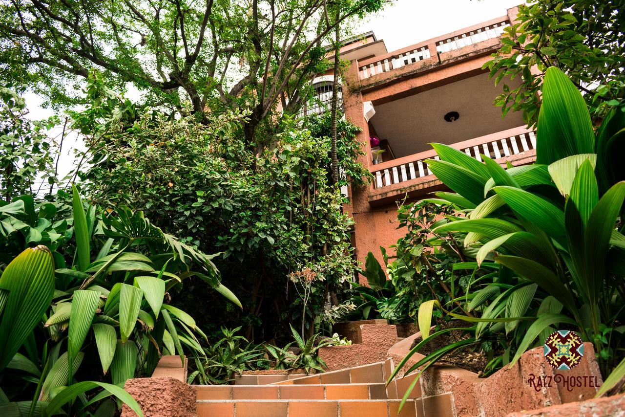 ميديلين Raiz Hostel المظهر الخارجي الصورة