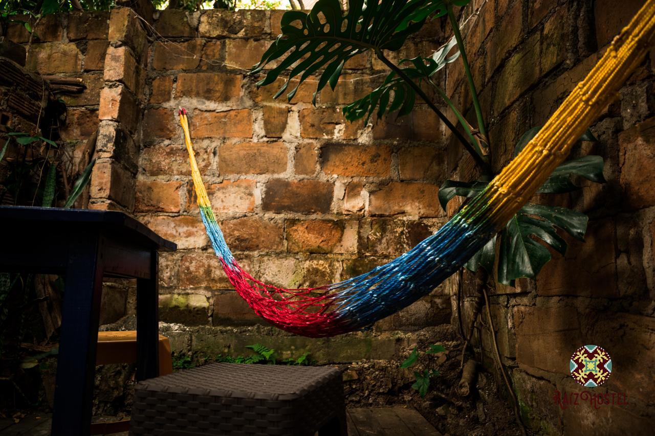 ميديلين Raiz Hostel المظهر الخارجي الصورة