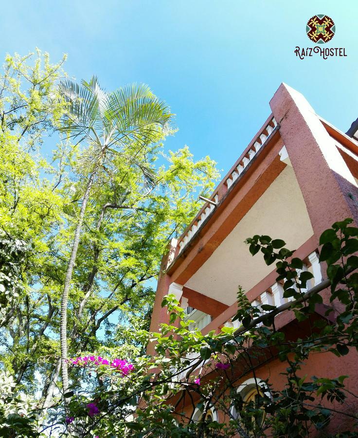 ميديلين Raiz Hostel المظهر الخارجي الصورة